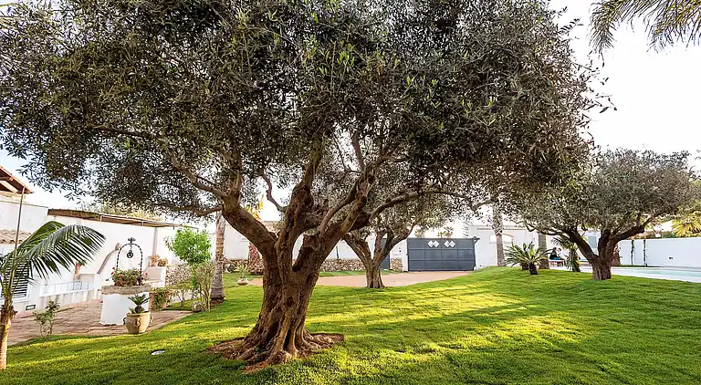 Vakantiehuis in Marsala