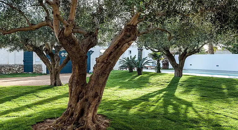 Vakantiehuis in Marsala