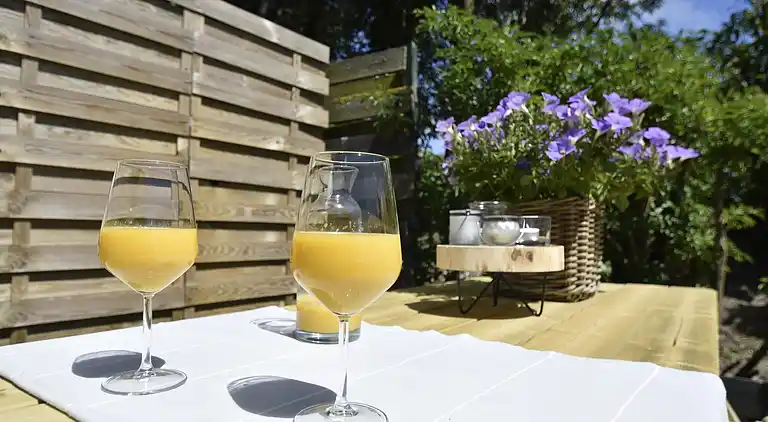 Ferienhaus in Callantsoog