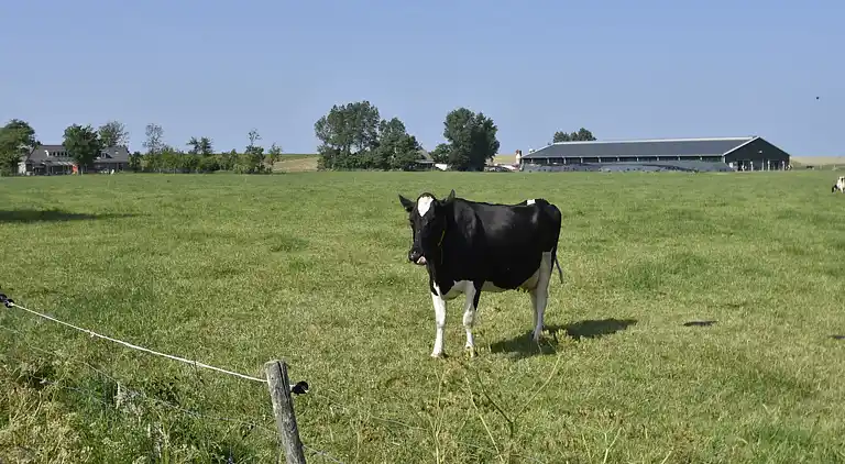 Appartement in Hippolytushoef