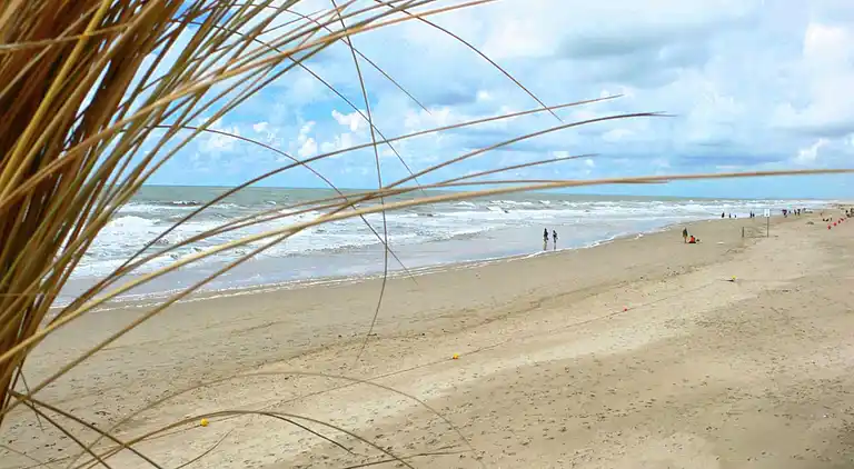 Boerderij in Callantsoog