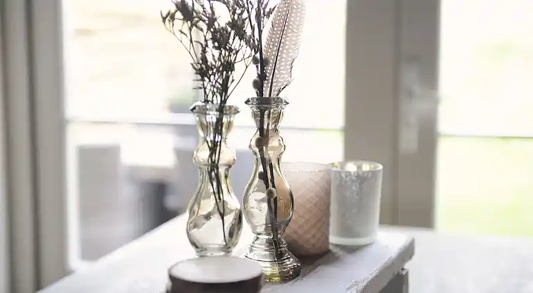 Boerderij in Callantsoog