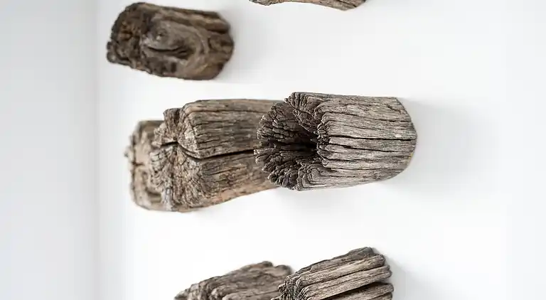 Vakantiehuis in Kamperland