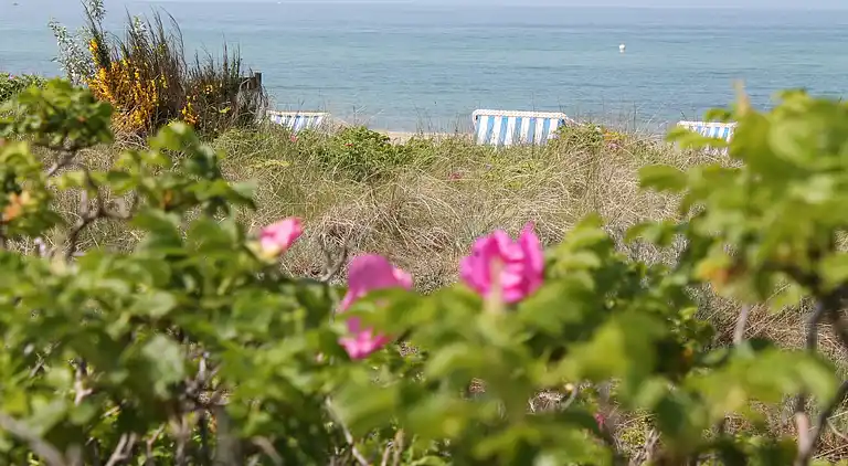 Apartment in Kühlungsborn