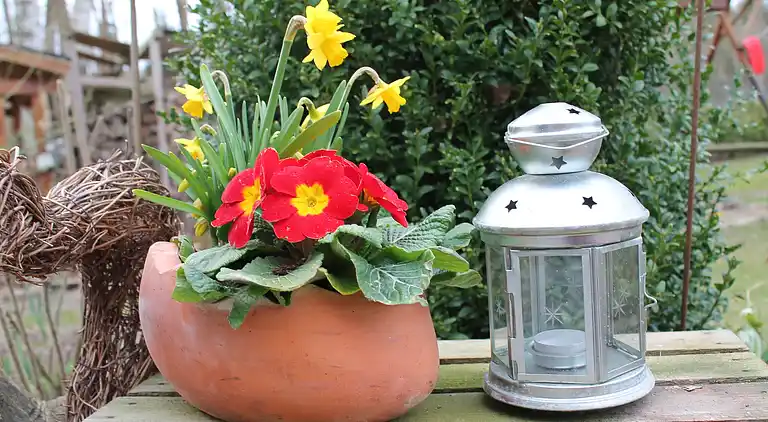 Apartment in Kühlungsborn