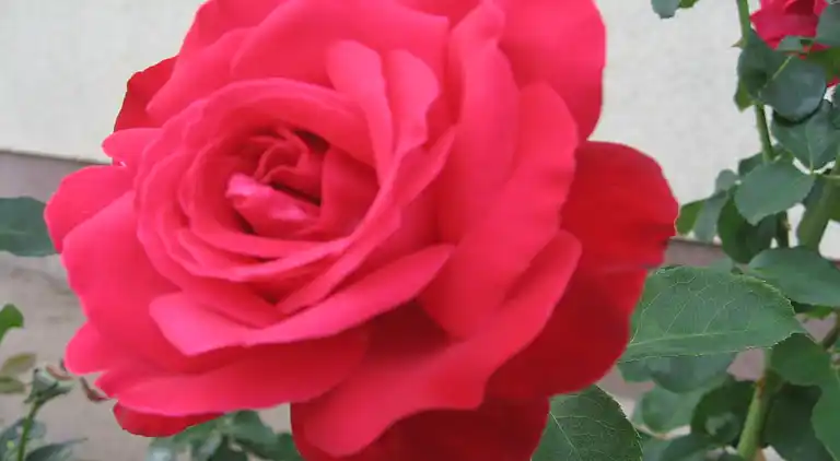 Bungalow i Kröpelin