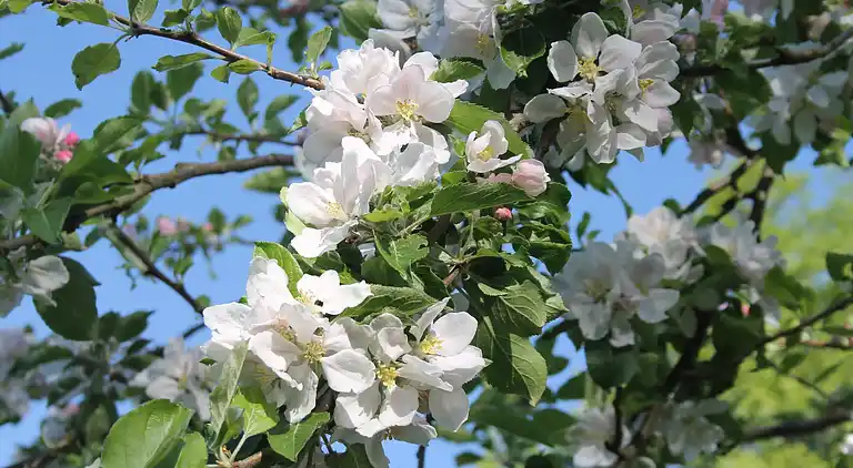Farm house in Boiensdorf