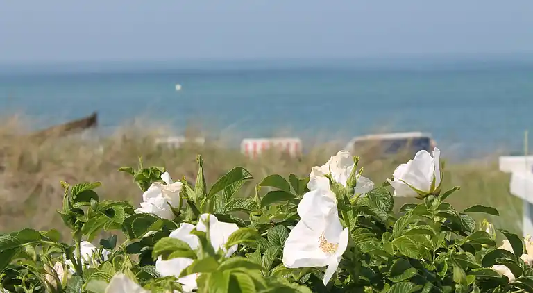 Farm house in Boiensdorf