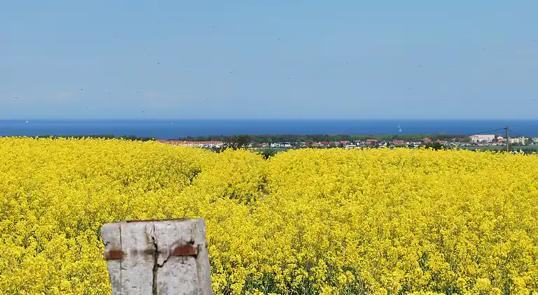Ferielejlighed i Bastorf