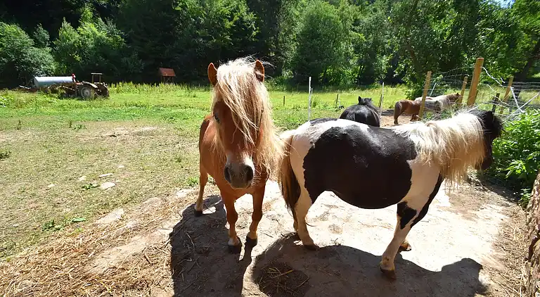 Apartment in Hüddingen