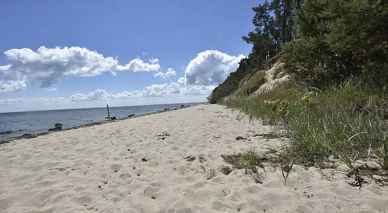 Apartment in Dumsevitz