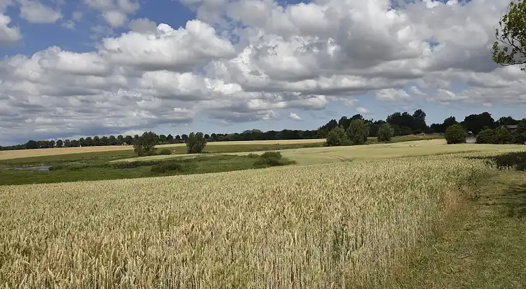 Apartment in Dumsevitz