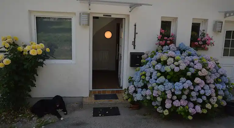 Ferielejlighed i Briedel