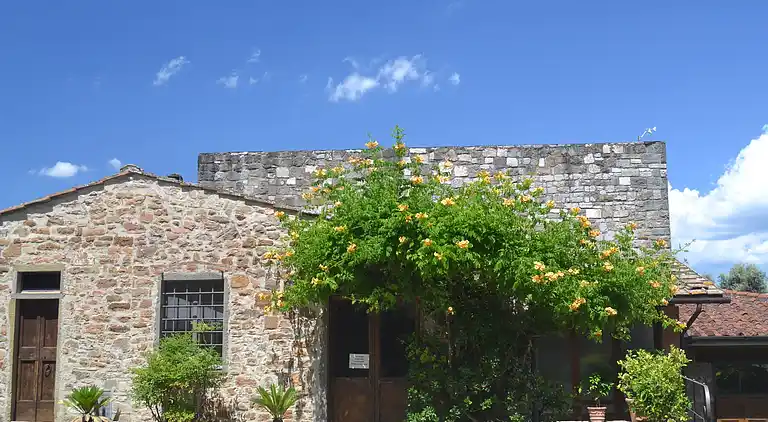 Leilighet i Greve in Chianti