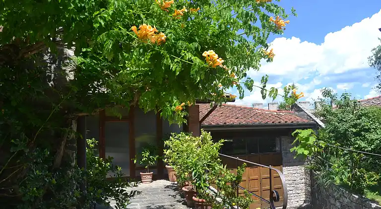 Apartment in Greve in Chianti