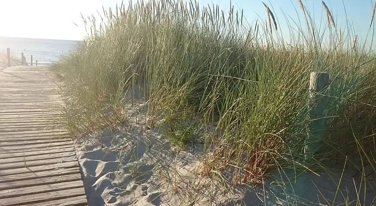 vakantiehuis in Börgerende