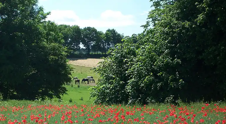 Ferielejlighed i Kröpelin