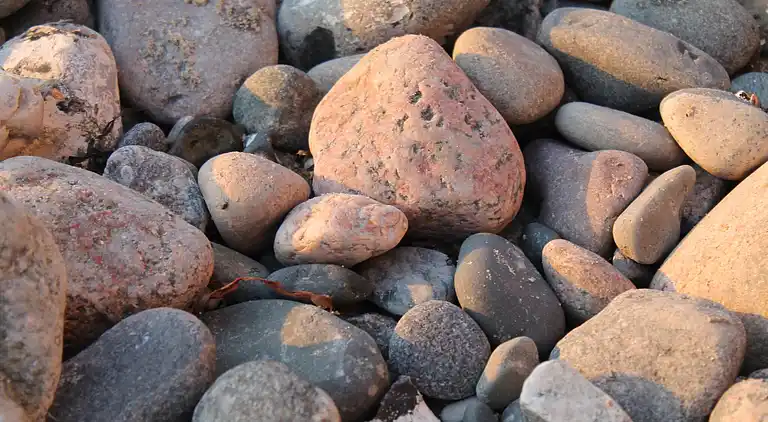 Apartment in Fahrdorf