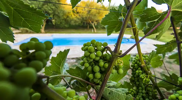 Feriebolig i Benkovac