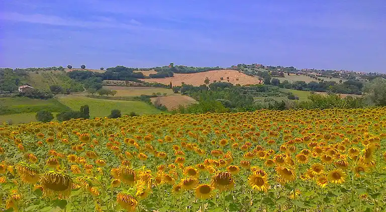 Sommerhus i Potenza Picena