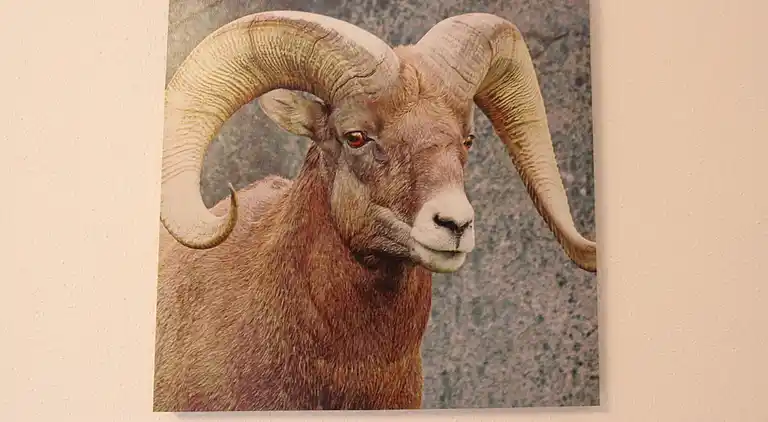 Villa i Sankt Johann