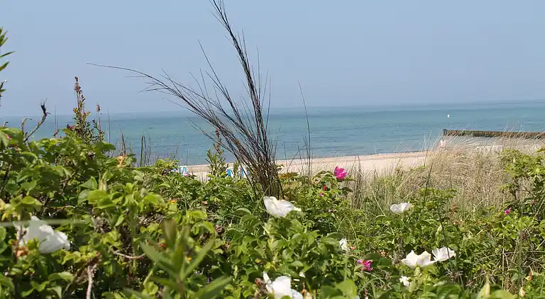 Bungalow i Kühlungsborn