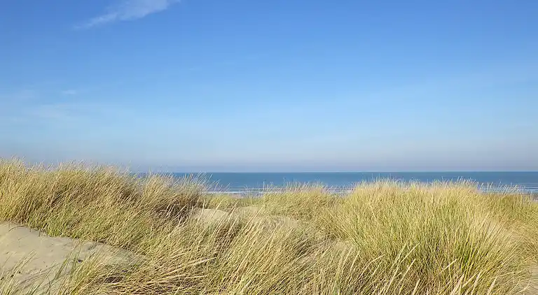 Ferielejlighed i Zuydcoote