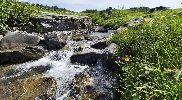 Apartment in Damüls