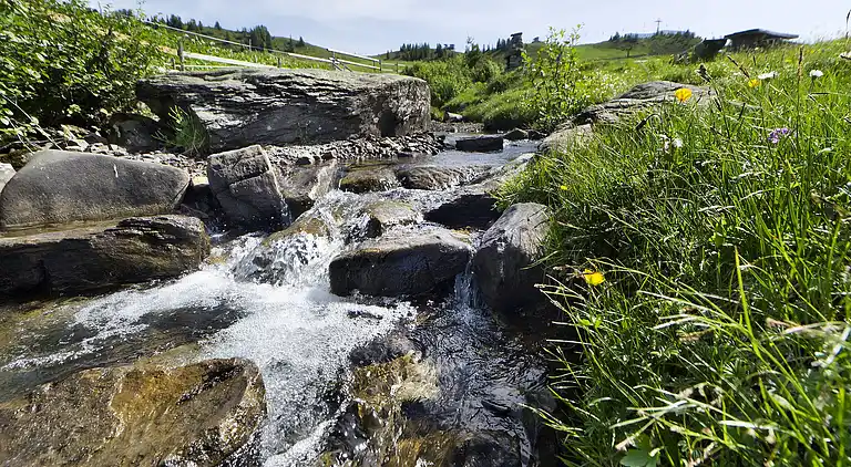 Apartment in Damüls