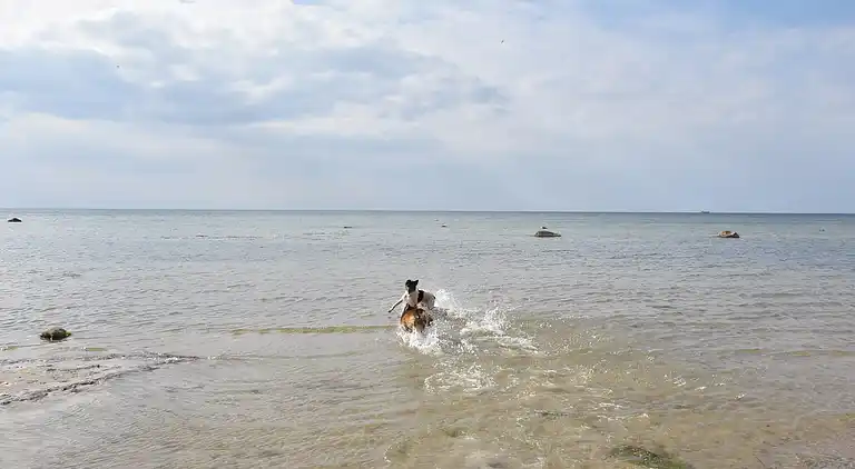 Holiday home in Klein Strömkendorf