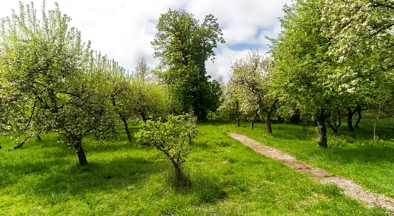 Appartement in Klein Pravtshagen