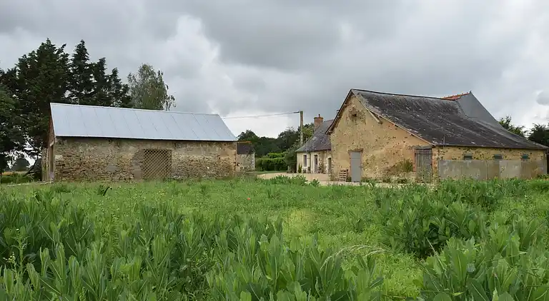Holiday home in Downtown
