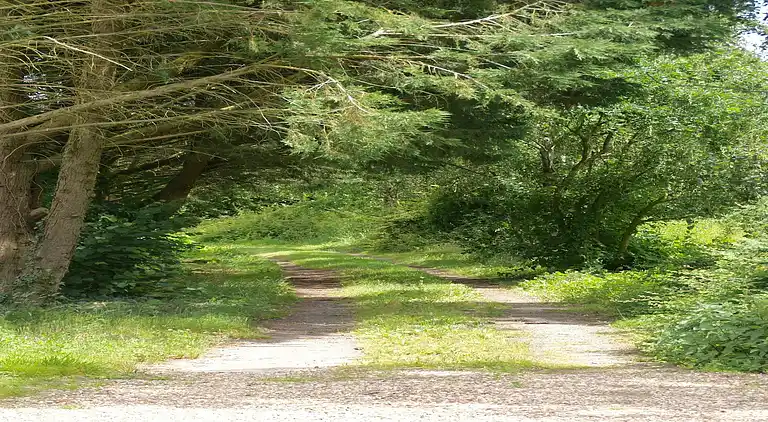 Holiday home in Downtown