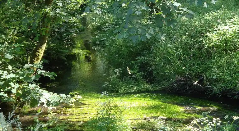 Vakantiehuis in Mary Tavy