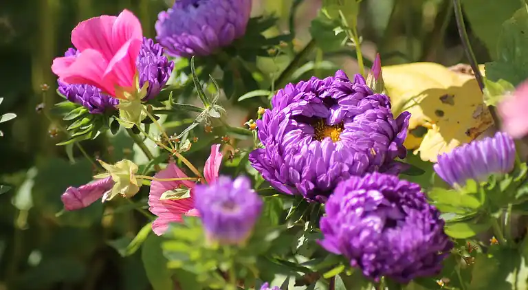 Apartment in Zweedorf