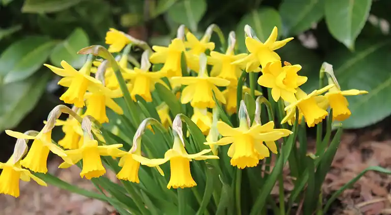 Ferielejlighed i Kägsdorf