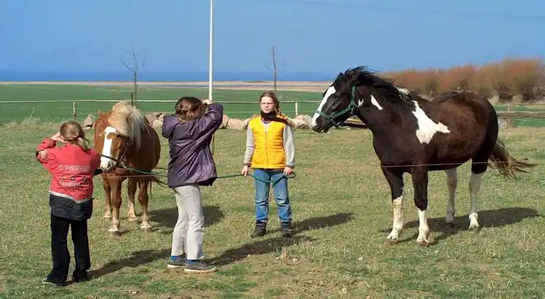 Ferielejlighed i Kägsdorf