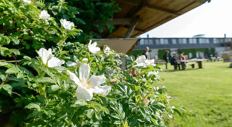 Ferielejlighed i Kägsdorf