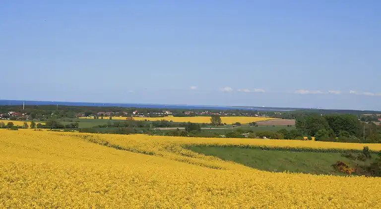 Appartement in Rerik