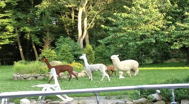 Appartement in Kastahn