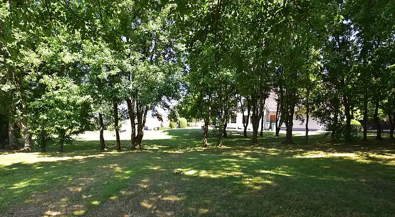 Holiday home in Eschwege