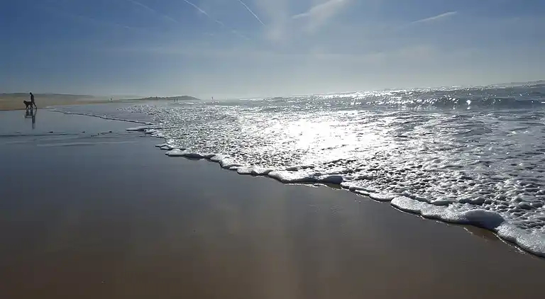 Hytte i Saint-Paul-en-Born