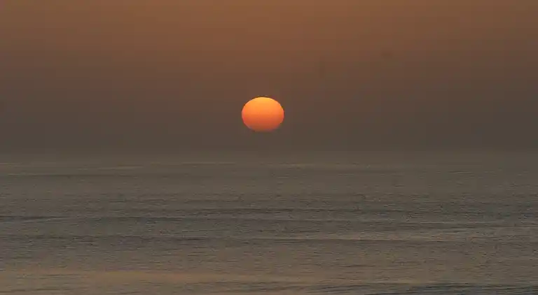 Hytte i Saint-Paul-en-Born