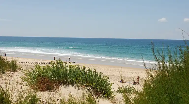 Hytte i Saint-Paul-en-Born