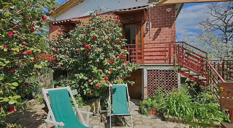 Holiday home in Donoratico