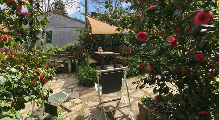 Holiday home in Donoratico