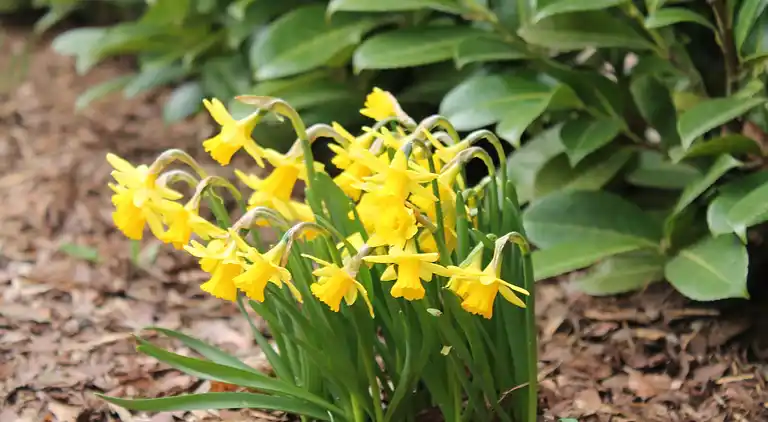 Ferielejlighed i Kröpelin