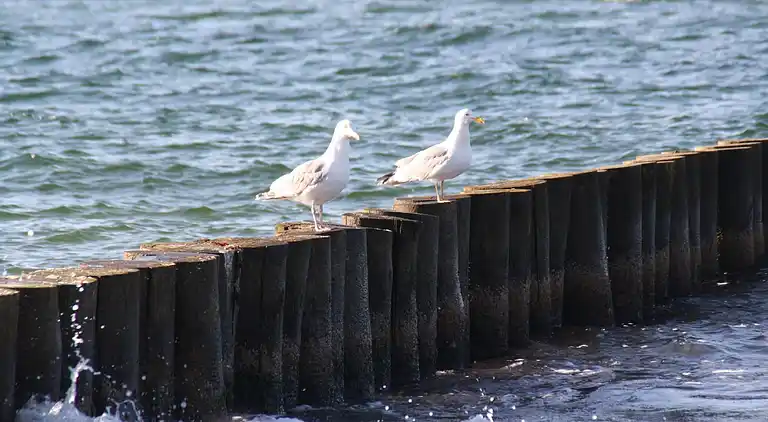 Ferielejlighed i Kröpelin