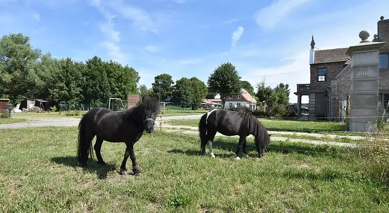 Sommerhus i Detershagen
