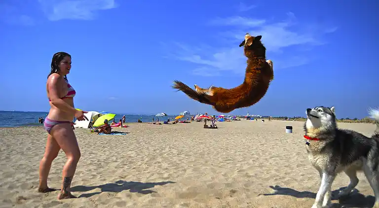 Ferielejlighed i Empuriabrava